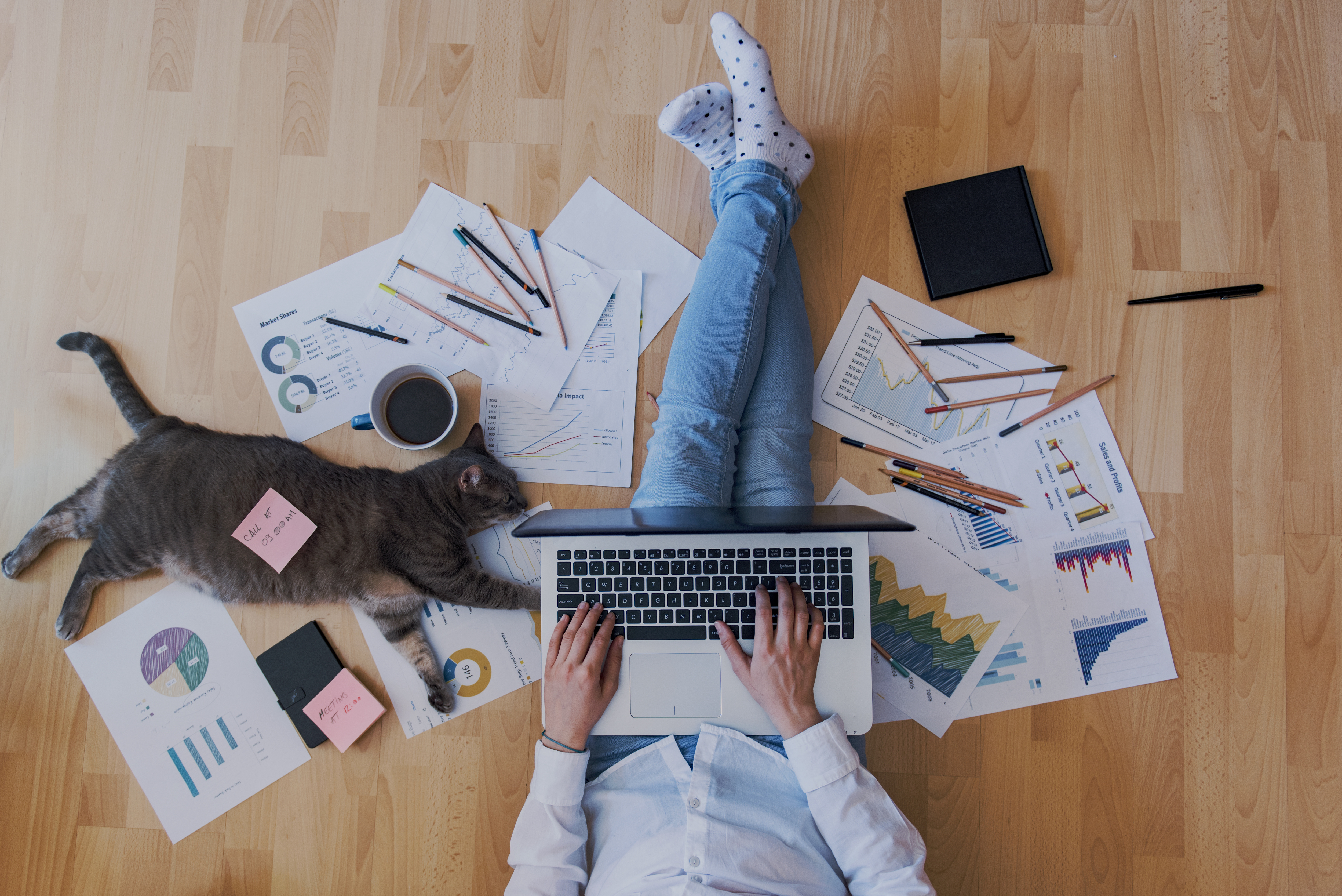 Professional sitting on the wooden floor of their home office next to their cat with work papers and post-it notes lying around